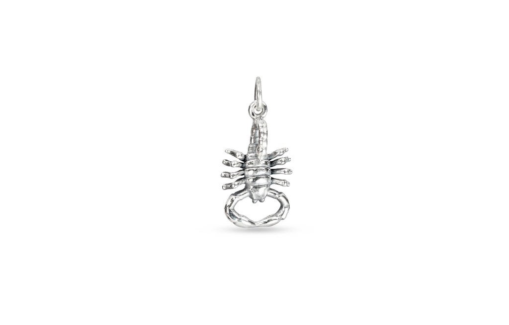 Sterling Silver 3D Scorpion 18.85x10.3mm Charm - 1pc