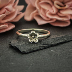 ring ringさん専用 61X+t0e2I-S._AC_SX569_.jpg